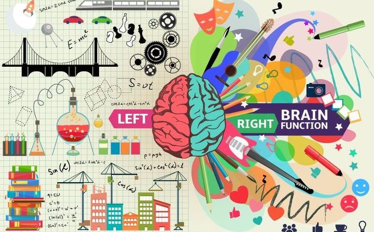 are-you-left-brain-or-right-brain